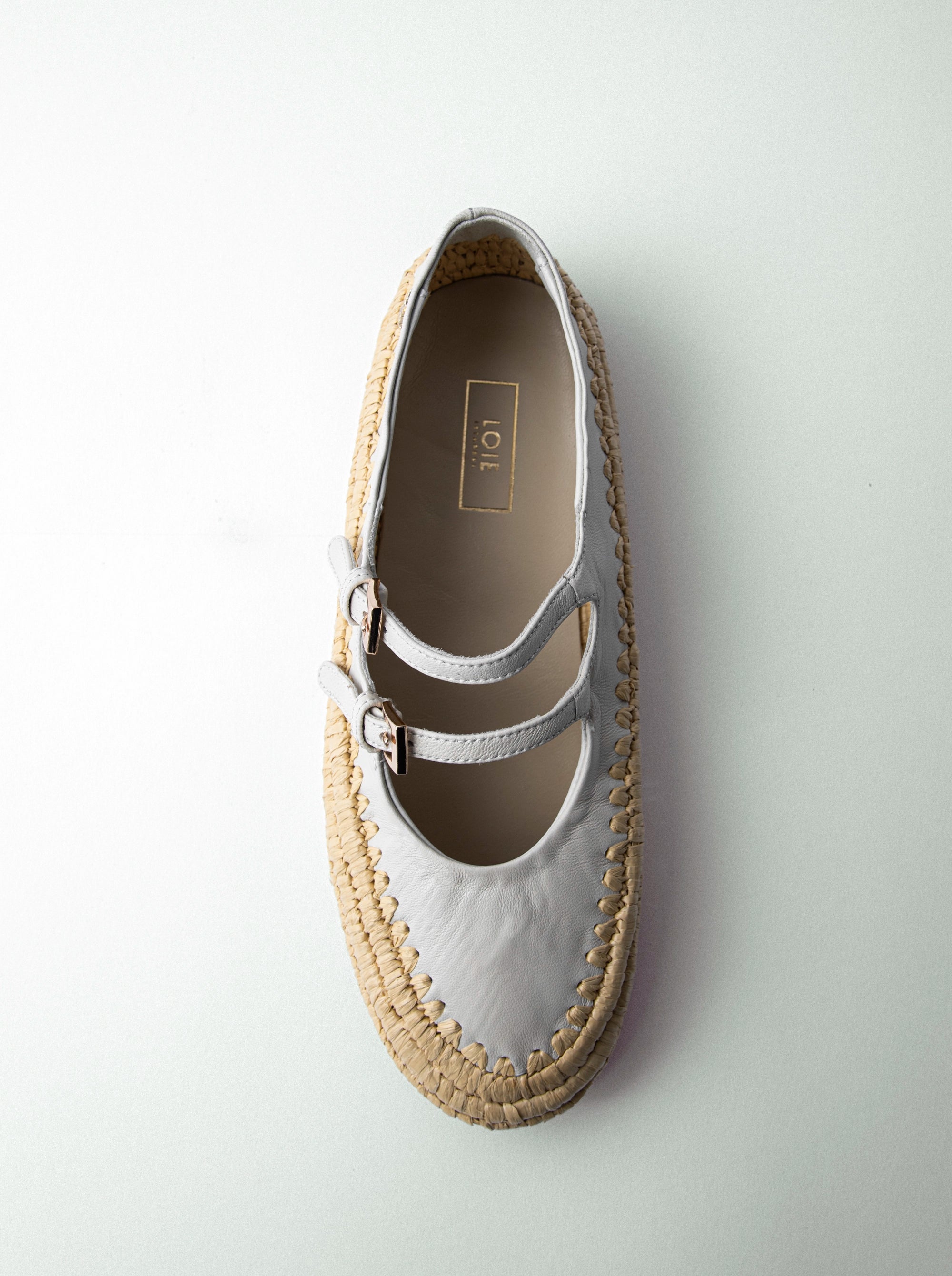 CLOUD BEIGE LEATHER BALLET FLATS