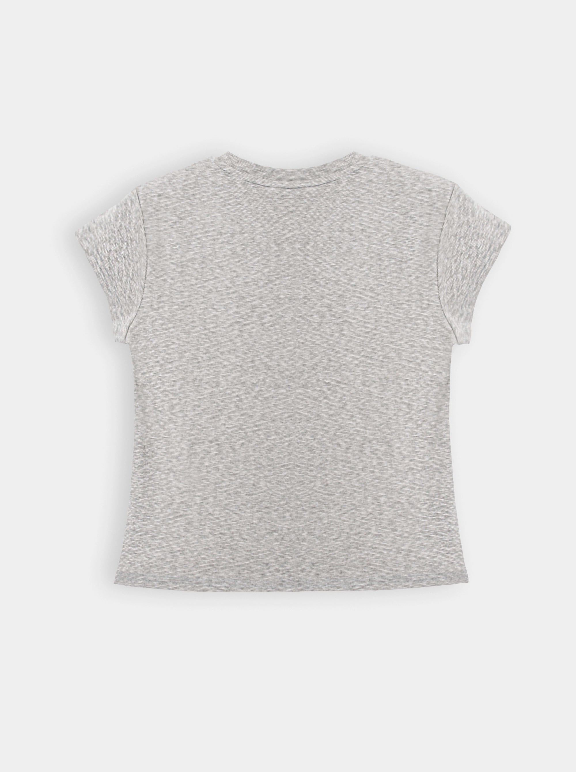 GRAY T-SHIRT